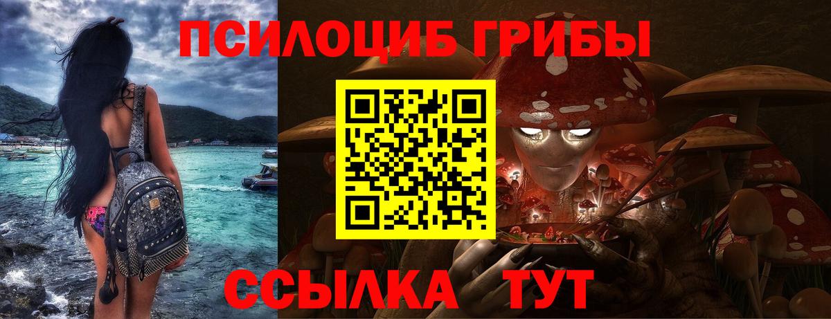 Псилоцибиновые грибы ЛСД Отрадное